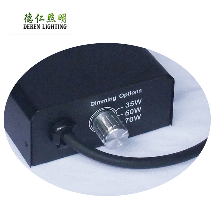 35W 50W 70W 100W 150W Electronic Ballast for UVB Metal Halide Lamps