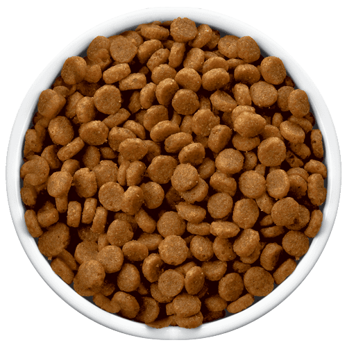 Dry Dog Food OEM Service