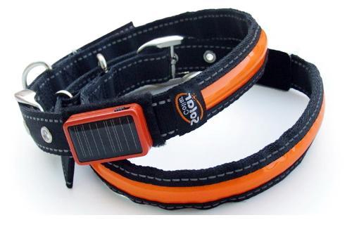 Solar dog collar